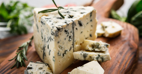 Fototapeta Blue cheese and rosemary obraz