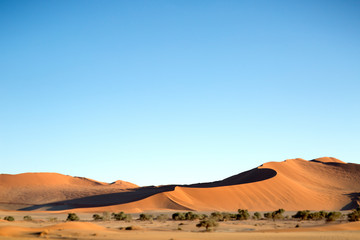 Fototapeta na wymiar Sand dune abstract taken in Sossusvlei, Namibia