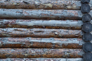 Fragment of a wooden fortress wall from raw logs. Texture.
