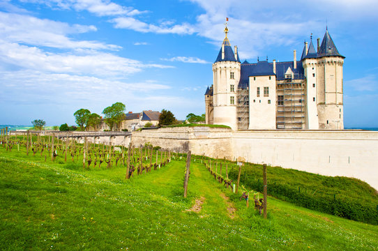 Back Facade And Vineyard Near Majestic Château De Saumur