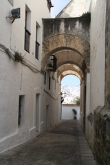 Fototapeta premium Arco