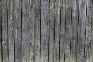 wooden texture background