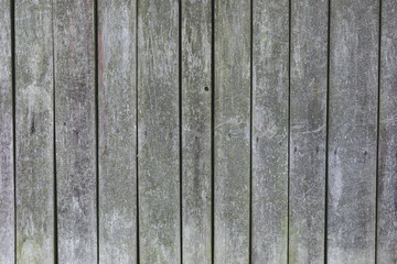 wooden texture background