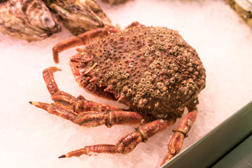 Of the market sea fish