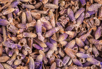 lots of dried lavender flowers