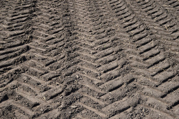 Tractor tracks on the ground