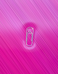 heart on white background