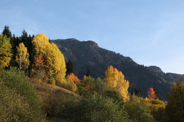 Obraz premium Autumn forest and village photos.artvin turkey 