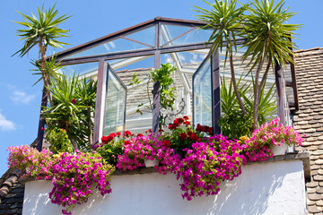Fototapeta na wymiar beautiful balcony window decorated with lots of flowers and tropical plants empty background