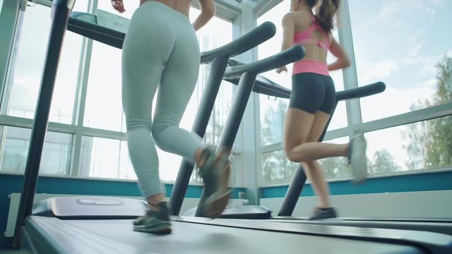 Lockdown low angle of two fit young women in sports tights and shorts running on treadmills during warmup in gym