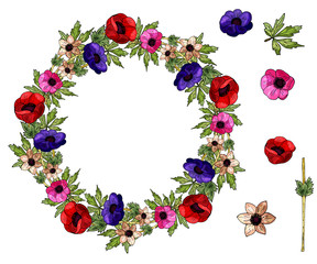 Decorative wreath of flowers and leaves of anemones. Blue, red, pink, yellow flowers. Elements of the wreath.