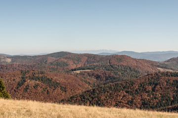 Fototapeta na wymiar view from Hala na Malej Raczy in autumn Beskid Zywiecki mountains on polish - slovakin borders