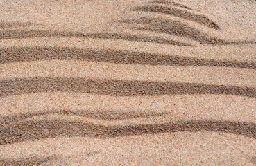 Sand. Texture. Macro photo. Summer day on the shore of the bay.