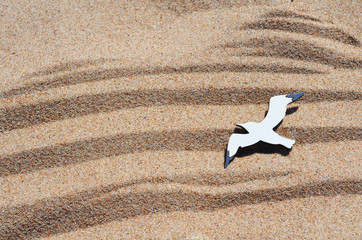 Песок. Чайка в полете. Брошь ручной работы. Текстура. Макро фото. Летний день на берегу залива.