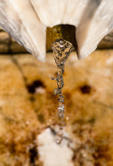 Fonte de água fresca