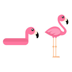 cartoon cute flamingo and flamingo float