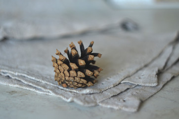 Forest cone lies on the table. Beautiful background.