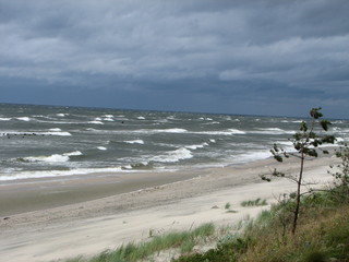 Storm 3