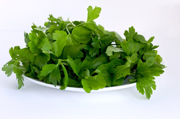 Spicy herb parsley lies on a plate