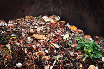 composting pile of vegetables fruits. Concept Organic waste, clean environment