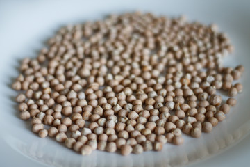 chickpeas close-up