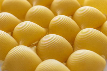 Rows of Italian pasta
