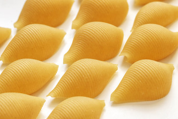 Italian pasta for stuffing