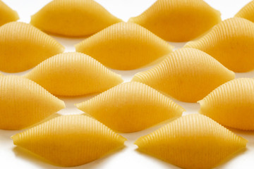 Italian pasta in the form of large shells