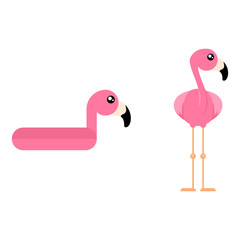 cartoon cute flamingo and flamingo float vector