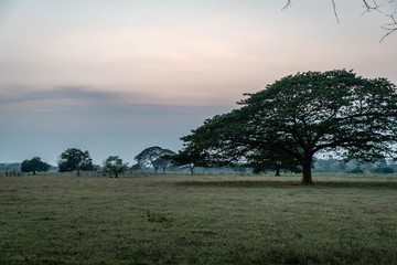 Guatemalan farm land at sunset