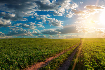 Green field,blue sky and sun.