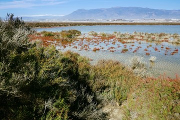 Naturlandschaft um Almería in Andalusien, Spanien