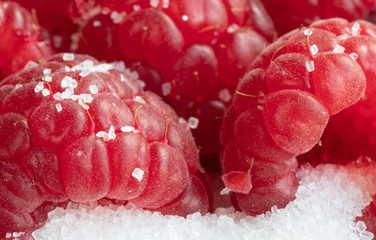 Raspberry. Detail. Macro. Fruits. Sugar. Red