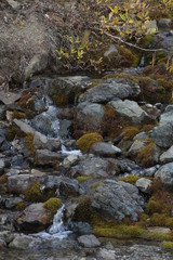 Alaska