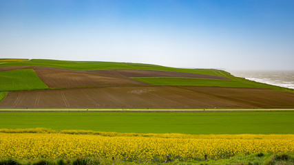 Green field and blue sky