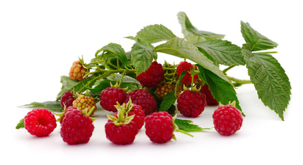 Ripe red raspberries isolated.