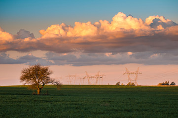 Rural landscape, Buenos Aires province , Argentina