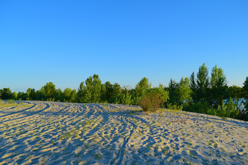 Fototapeta na wymiar View of the desert and dark forest. Summer landscape.