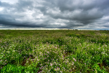 Rural landscape stormy, Buenos Aires province , Argentina