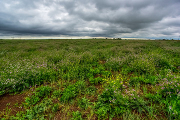 Rural landscape stormy, Buenos Aires province , Argentina