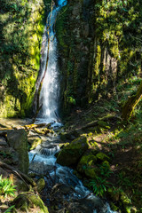 Lower Soda Creek Falls in Cascadia State Park near Sweet Home, Oregon