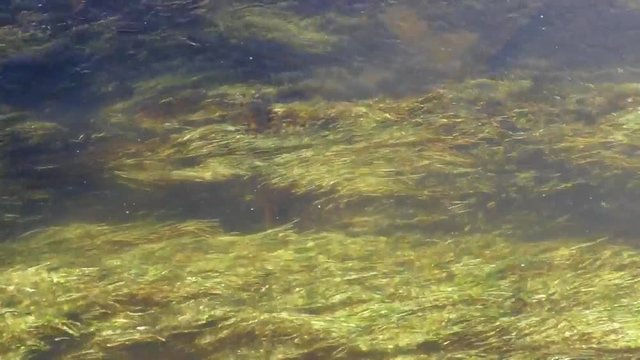 The flow of river water in slow motion, slow water flow,