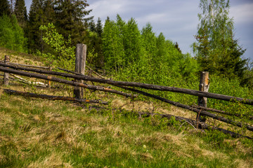 Fototapeta na wymiar old wooden fence