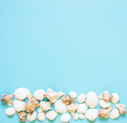 Composition of exotic sea shells on a blue background. Summer concept. Flat Lay. Top View