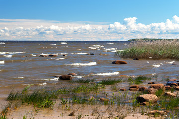 Southern sandy shores of Lake Ladoga