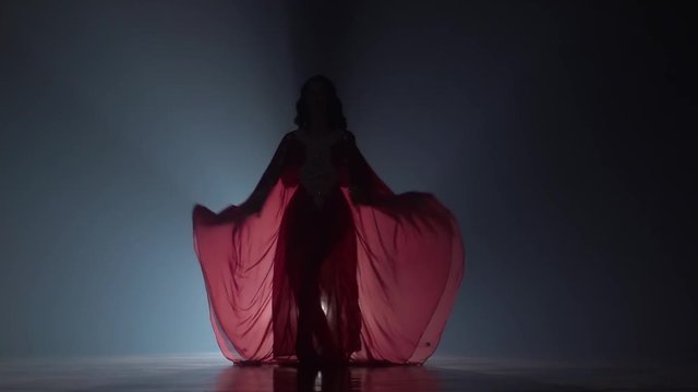 Dances belly dancing her movements are unique in chiffon dress. Smoke background. Sihouette. Slow motion