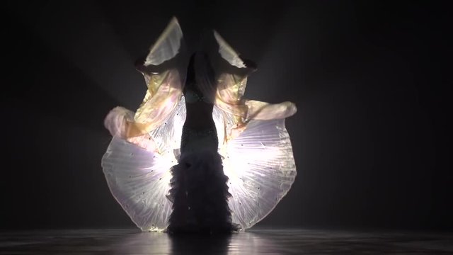 Dancer in lace dress hands wings. Smoke background. Slow motion.Sihouette