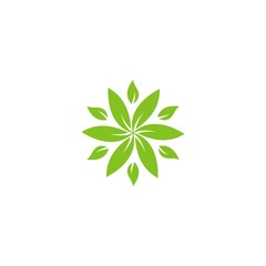 Leaf Icon Vector Logo Template