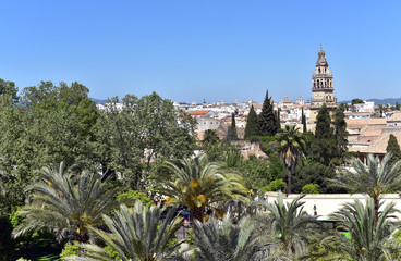 Fototapeta premium The bell tower of the Mosque-Cathedral (Great Mosque of Cordoba) (Mezquita), seen from the inner courtyard, Cordoba, Andalusia, Spain
