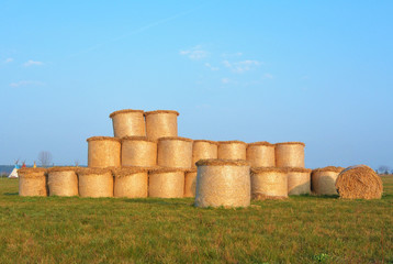 Obraz premium Bales of straw. Harvest